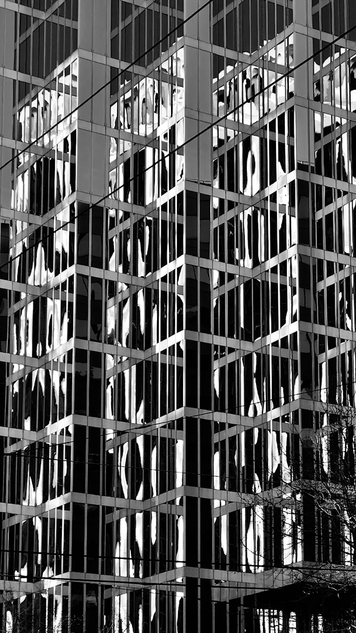 Reflections