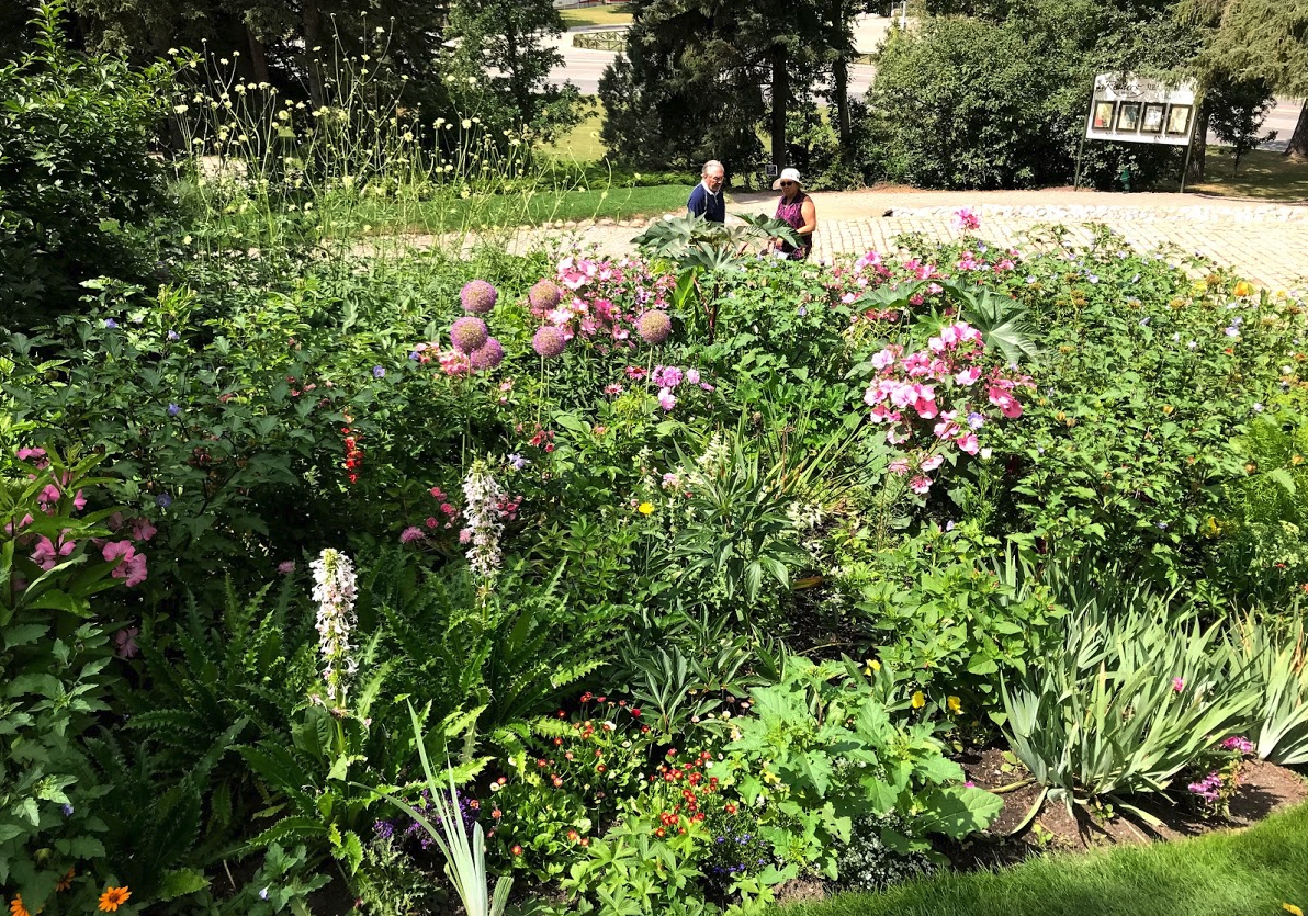 Reader Rock Garden