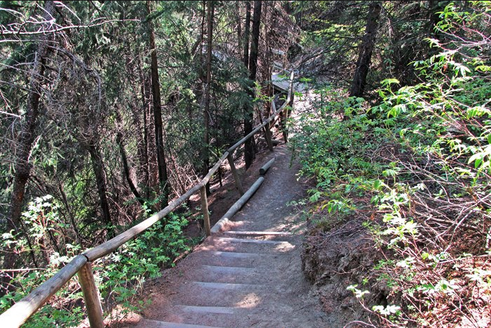 Douglas Fir Trail (photo credit: Hiking with Barry)