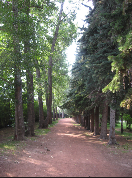 Calgary has over 5,000 parks offering lots of fun walks.