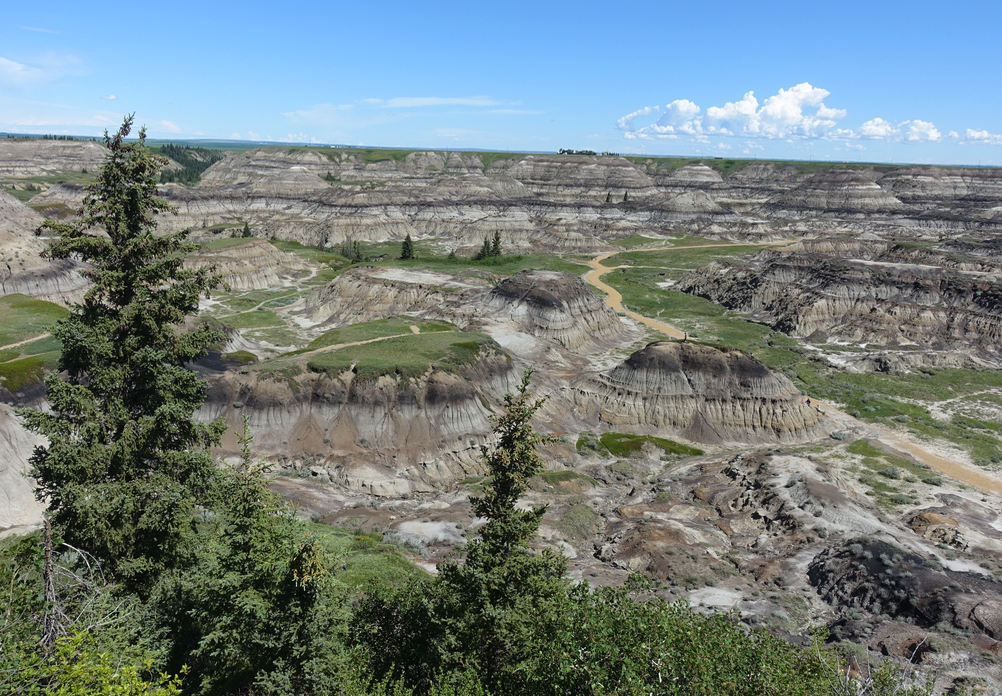 Horseshoe Canyon