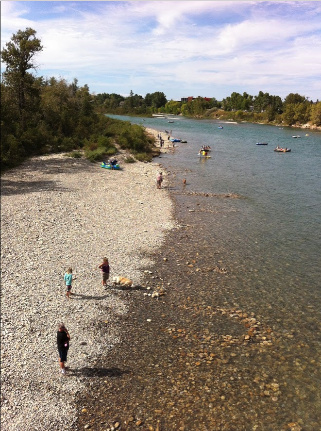 The natural pebble beach at Edworthy Park.