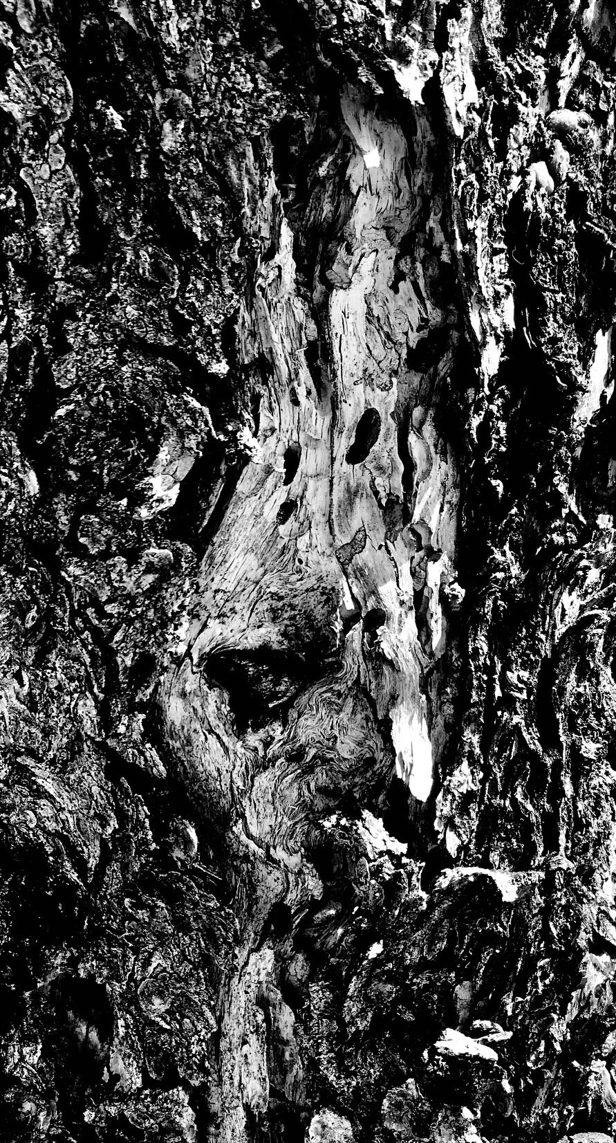 Can you see the face?
