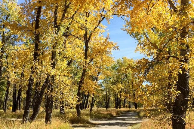 Fish-Creek-Park-in-Fall.jpg