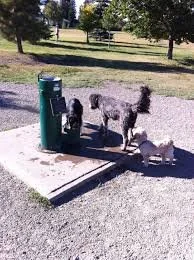 Dogs as a catalyst for healthier happier city?