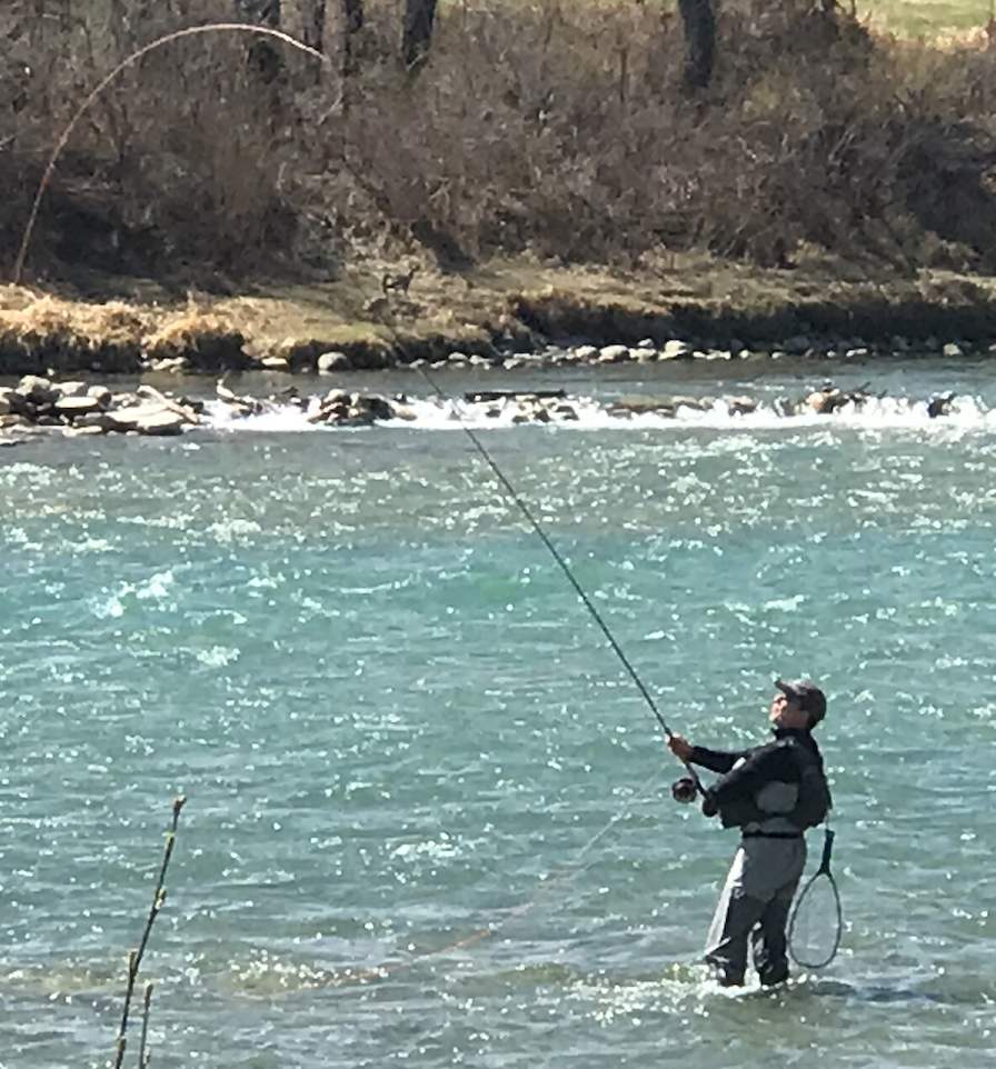 River Valley Fun: Calgary vs Edmonton