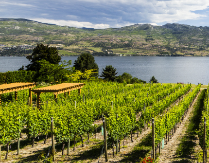 Kelowna, Saskatoon, and Halifax: Exploring Canada's Most Overlooked Urban Gems