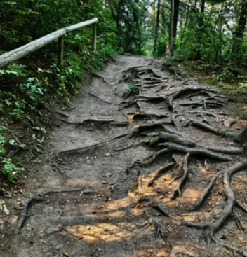 Everyday Urban Trekking in Calgary: Douglas Fir Trail