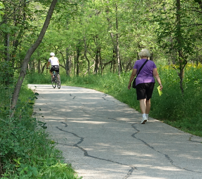 Pocket Guides That Transform City Walks