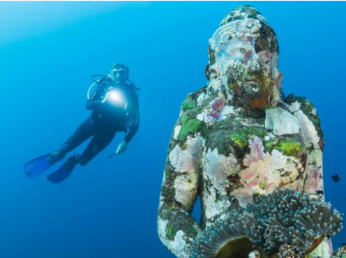 Pick Your First Indonesia Liveaboard: A Step-by-Step Guide for New Divers