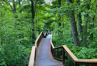 Toronto’s Quietest Doorways Are in the Ravines