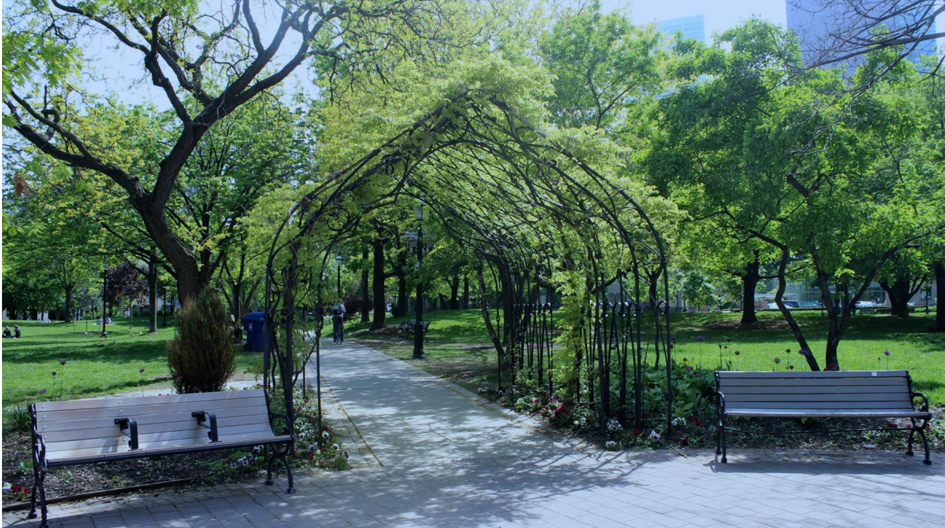 A Slower Side of Toronto: Hidden Gems Around Allan Gardens and the Downtown East