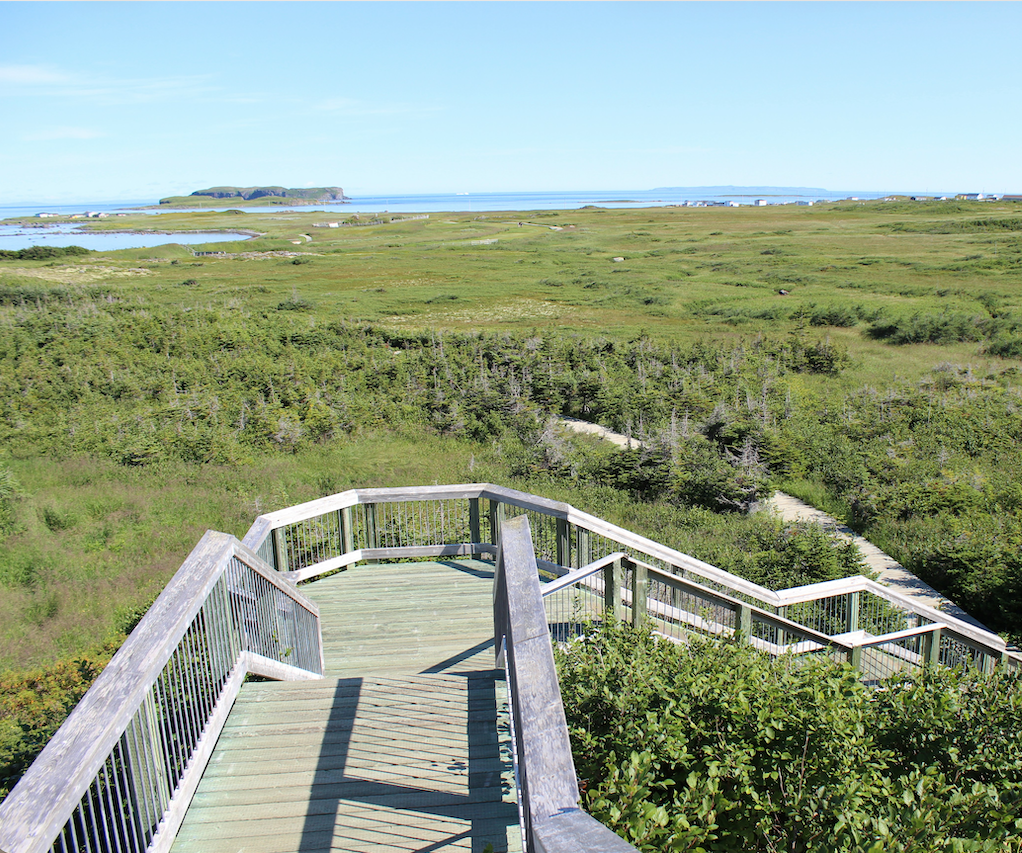 Exploring Newfoundland's Viking Trail Tour
