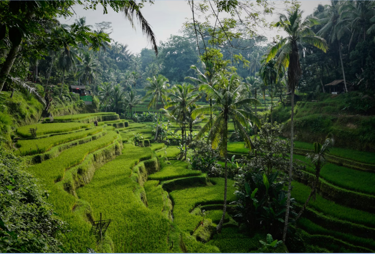The Quiet Side of Bali Beyond the Tourist Trail