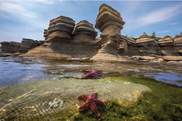 Beyond the Obvious: Unexpected Things to Do in Canada in the Summer