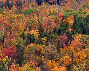 Vermont Scenic Drives for Fall