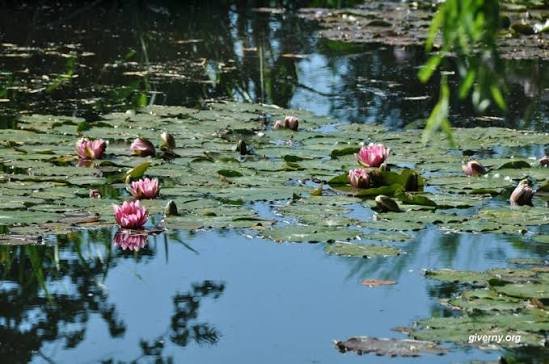 A Traveler’s Guide to Iconic Flower Gardens