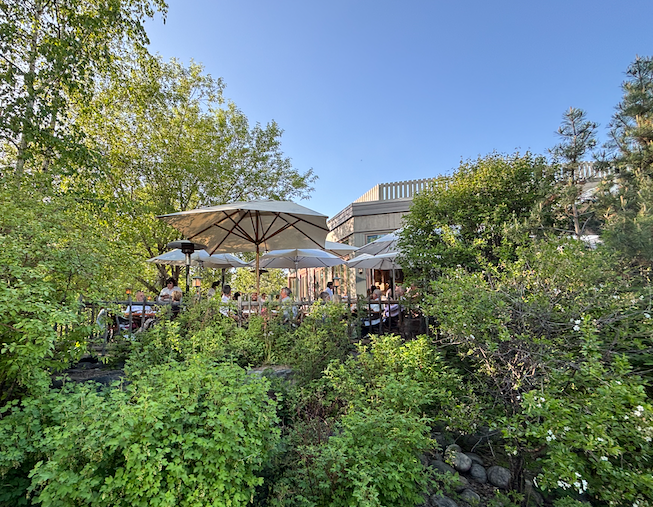 Calgary: A Stroll Along The Bow River — Every Day Tourist