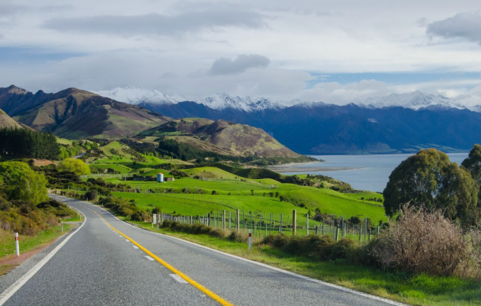 Auckland to Wellington: A Sports Fan’s North Island Trip