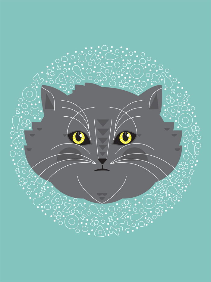 grey-cat.png
