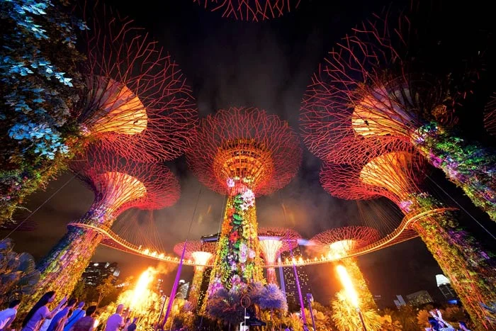 supertrees.jpg
