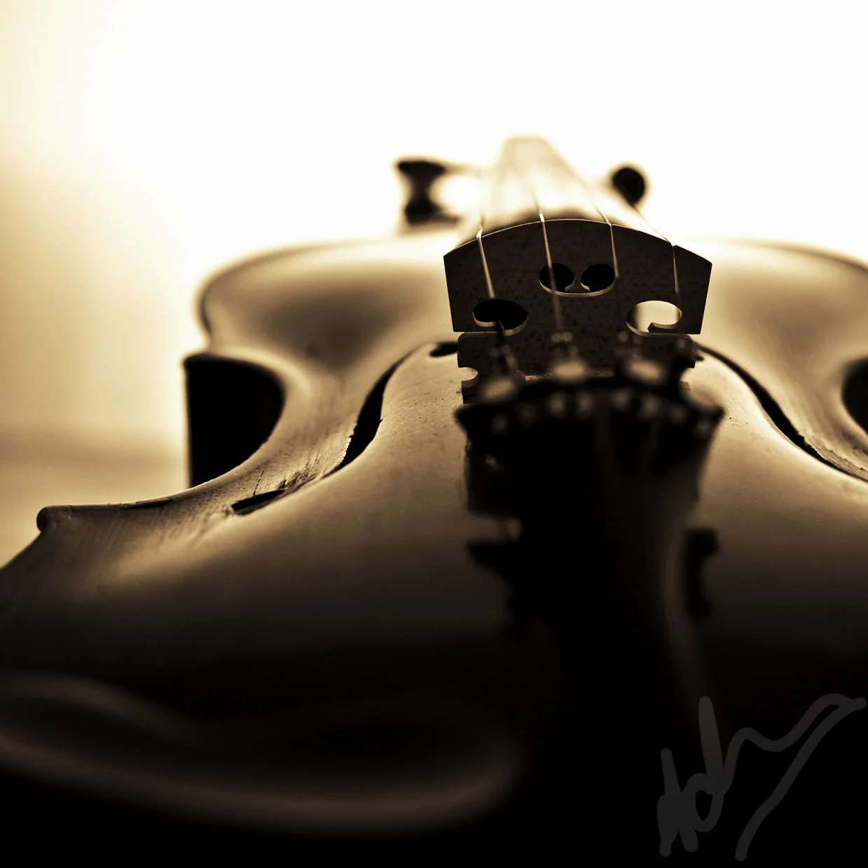 violin-017 sqyare.jpg