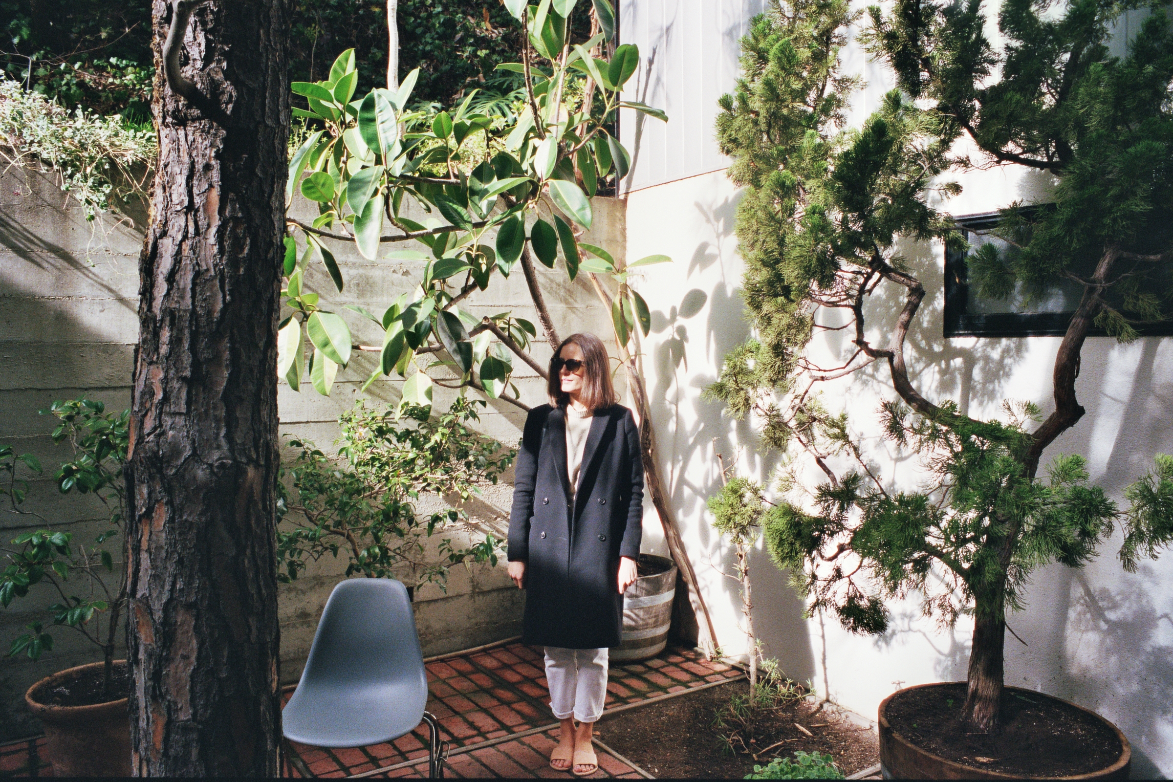 The Eames house 