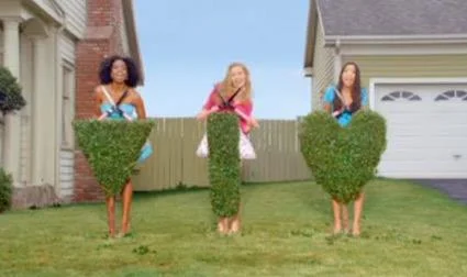 bikini bushes.jpg