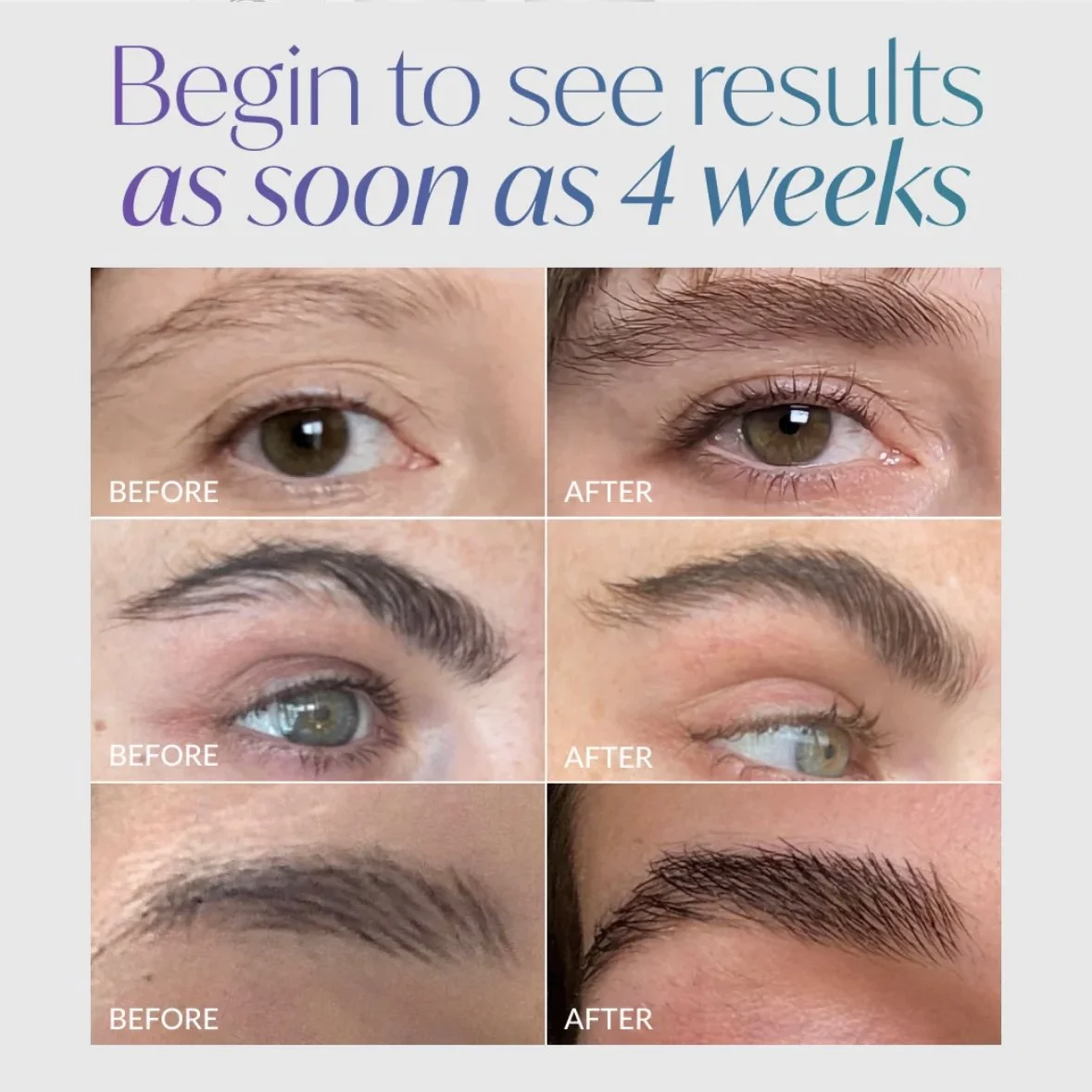 LiBrow Purified Eyebrow Serum results UK stockist