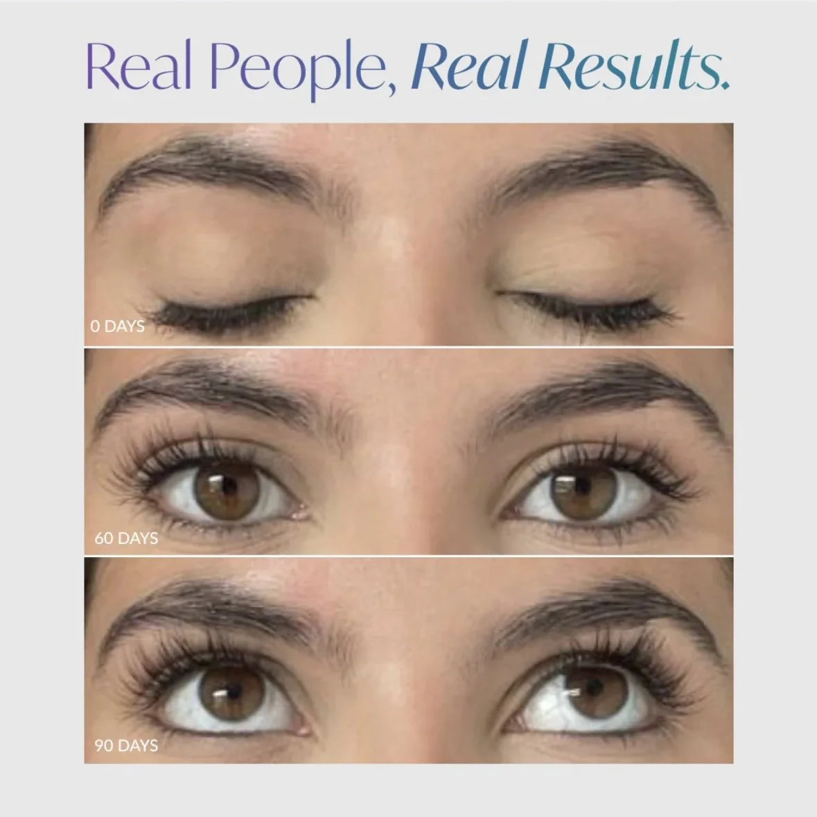 LiBrow Purified Eyebrow Serum results UK stockist