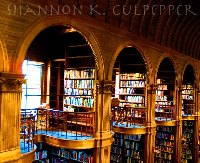 books7.jpg