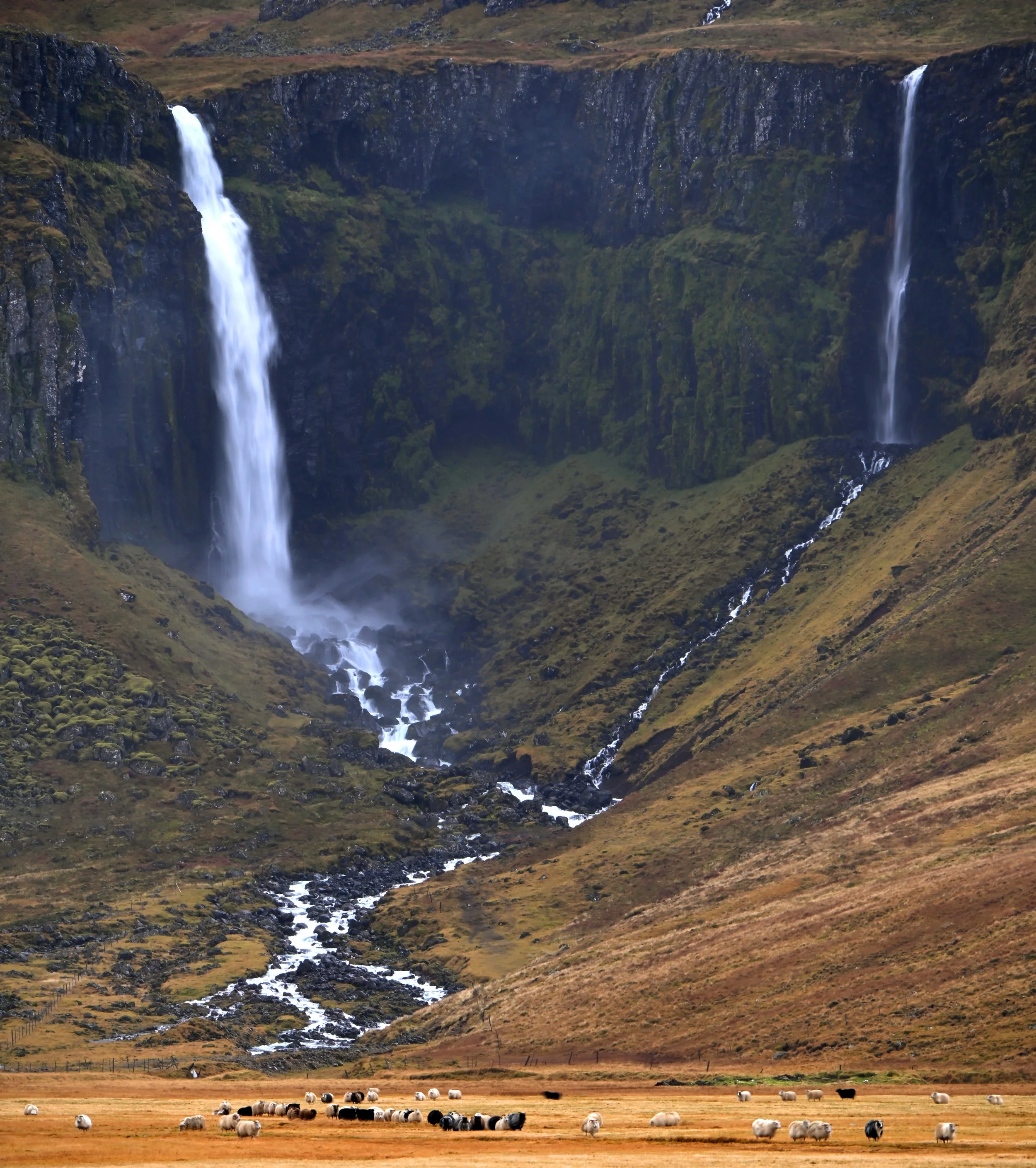 iceland_waterfalls2.jpg