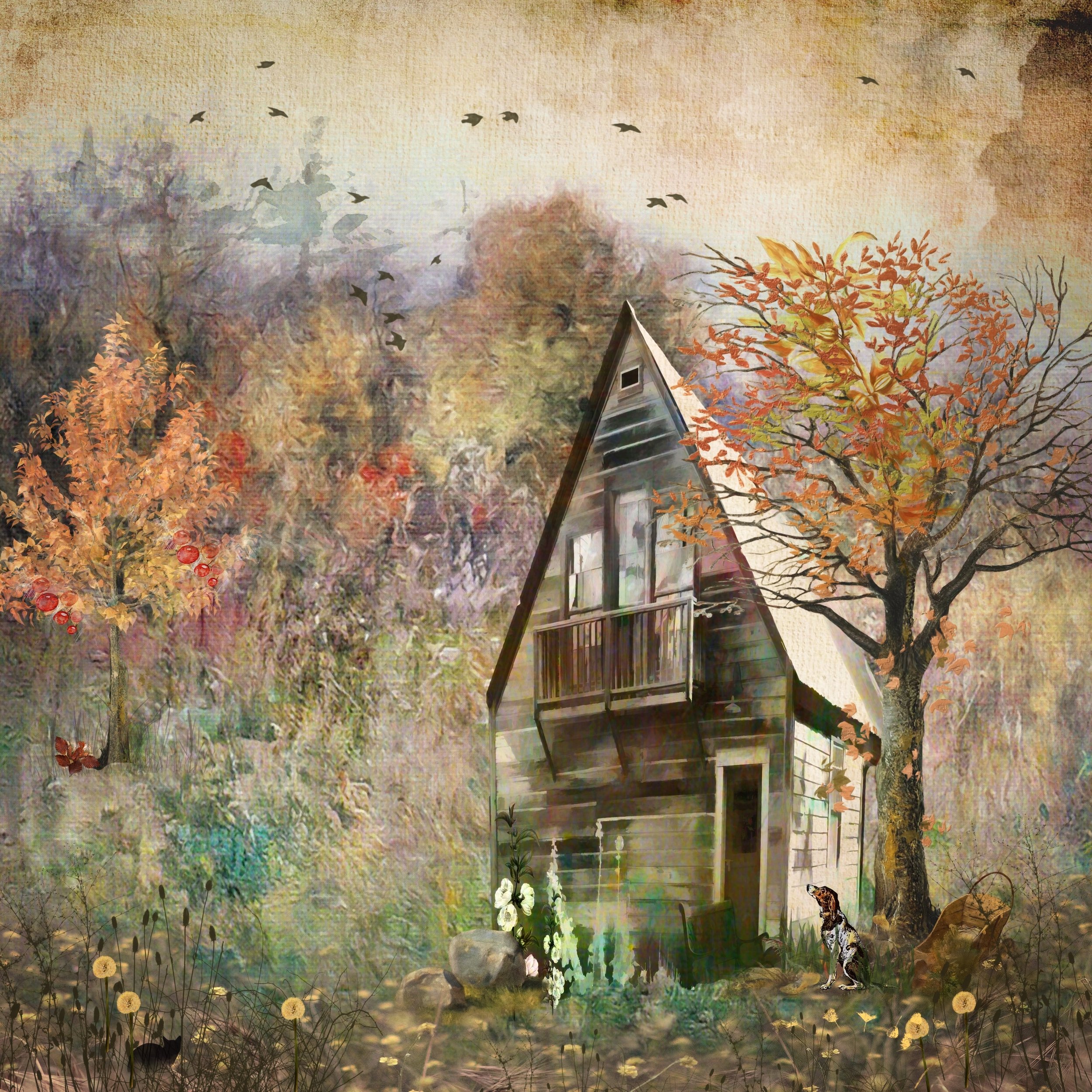 autumn house.jpg