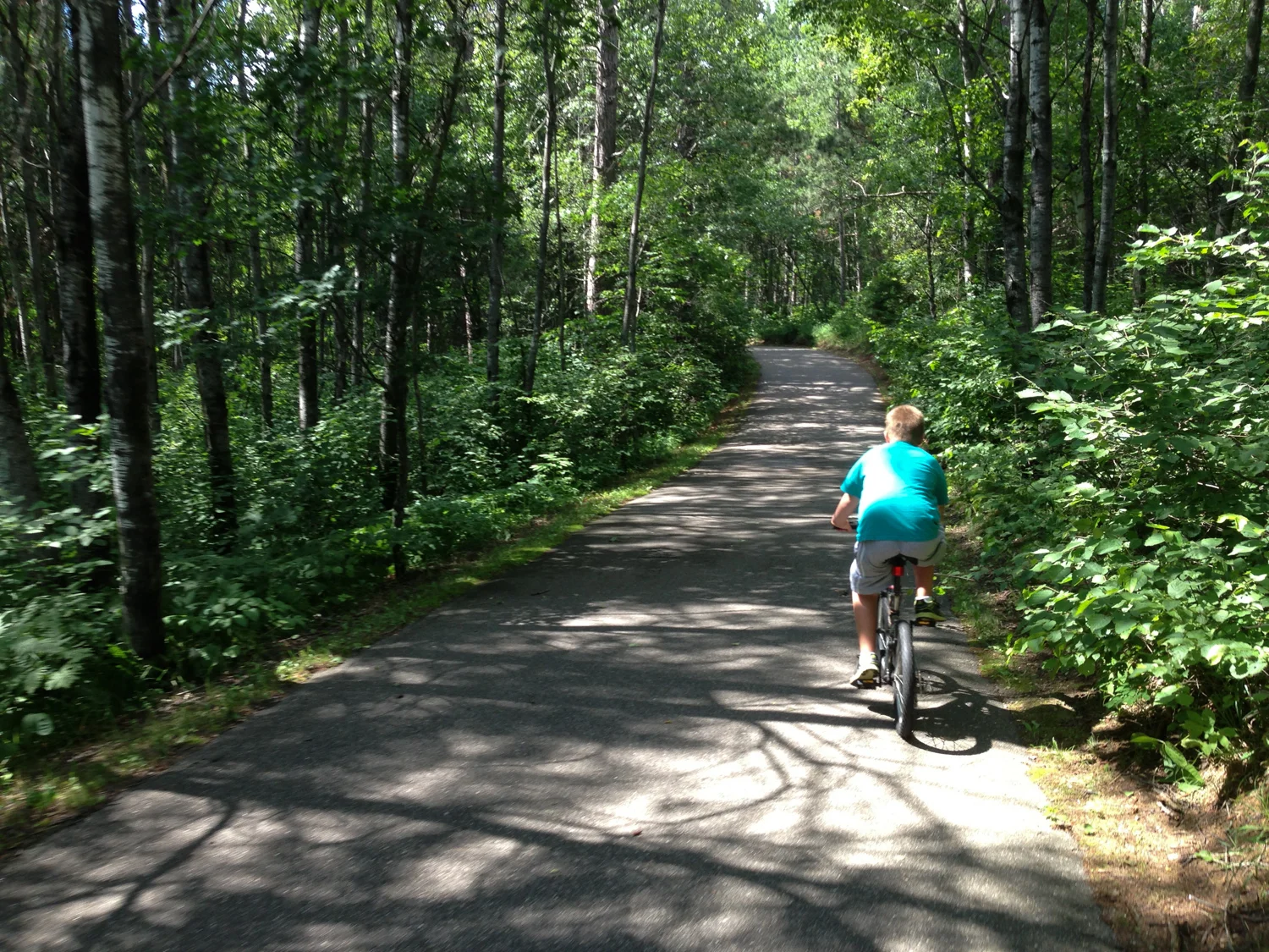Bike trail within the state park