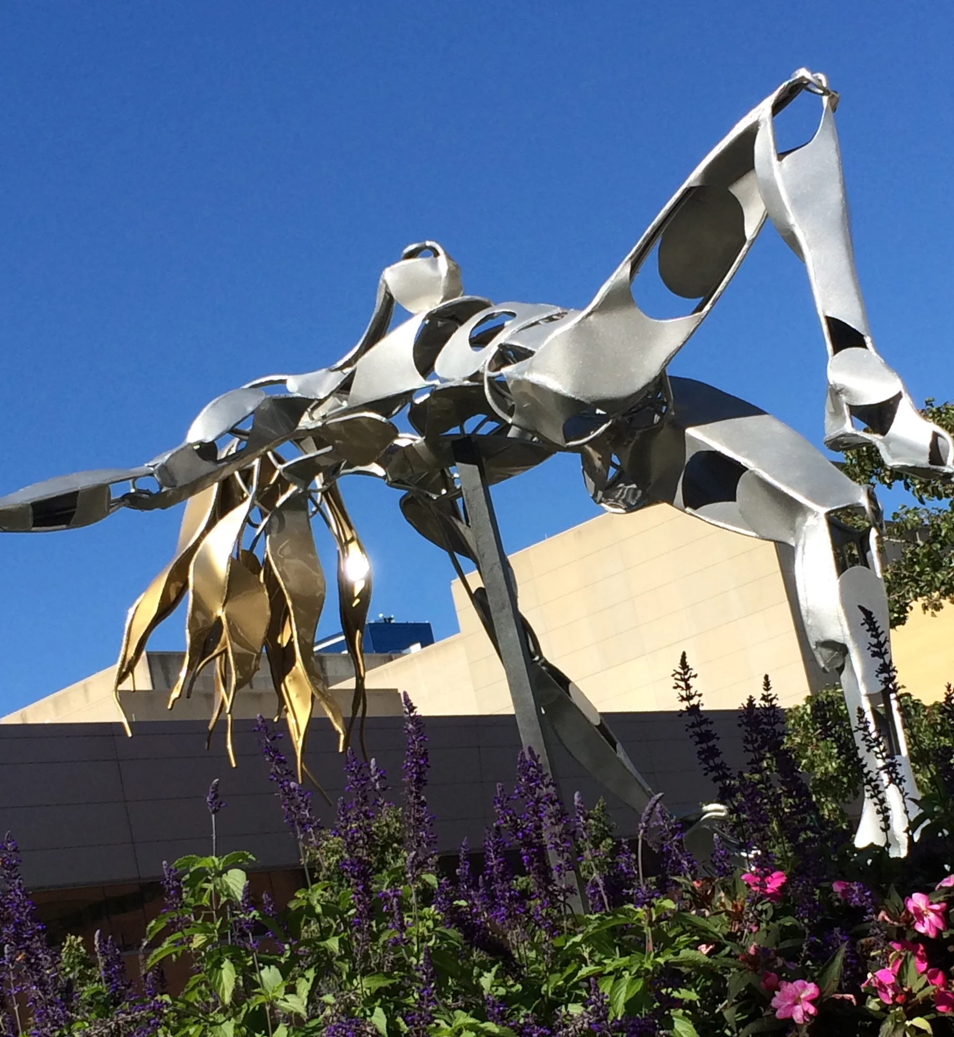 For Cynthia. For you.