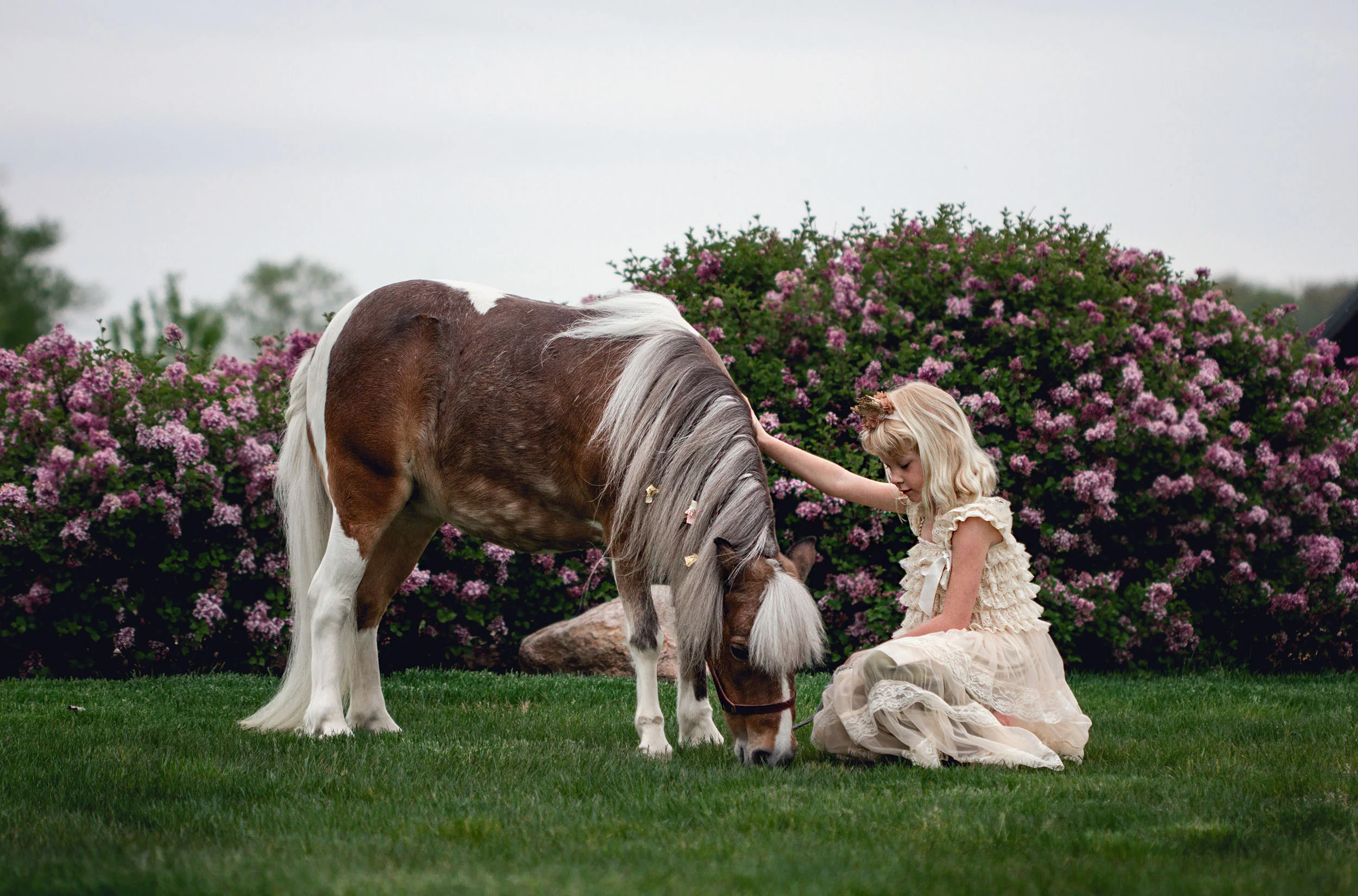 A Girl & Her Pony: A Last Kiss Goodbye