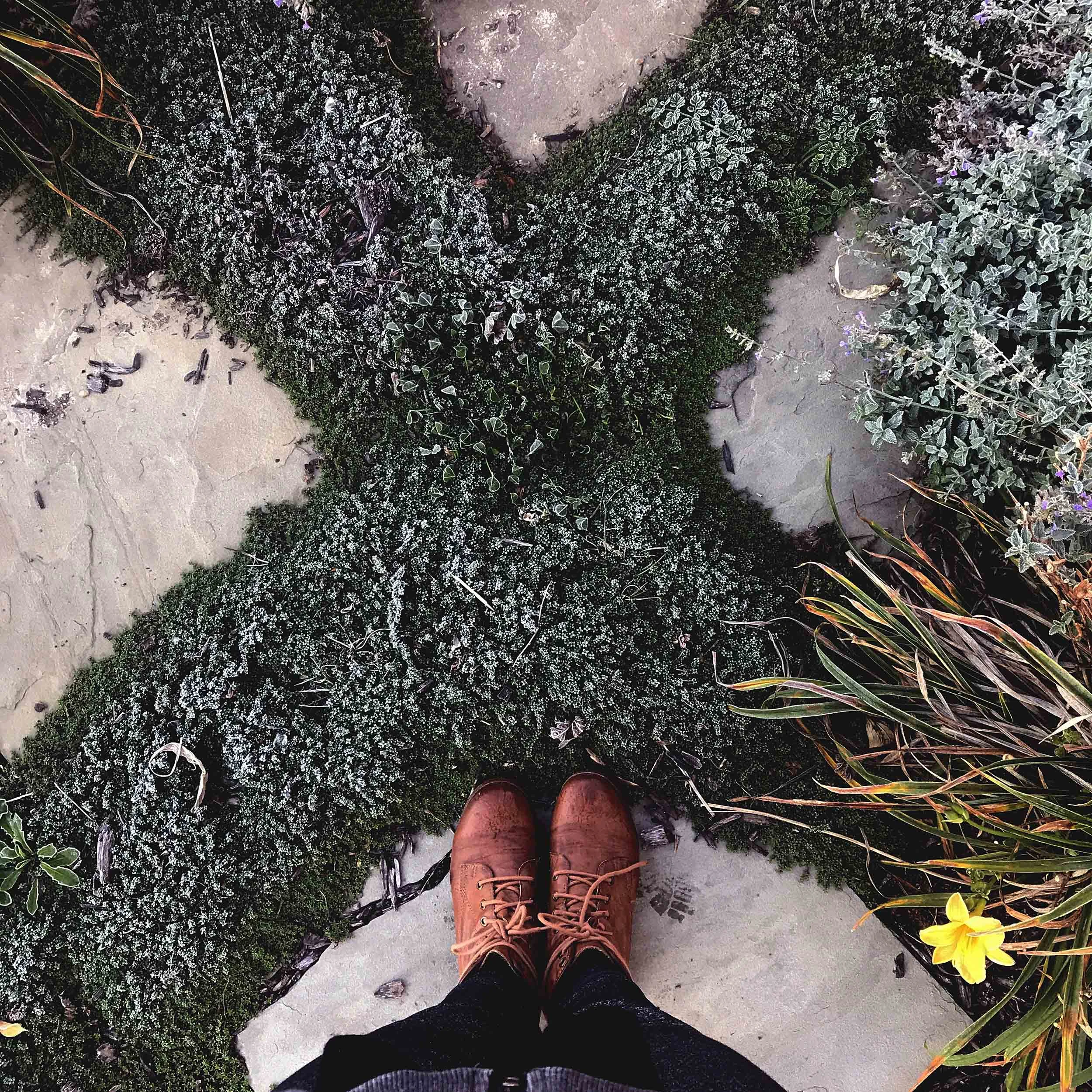 The morning of our move brought with it the first frost of the season. It lay cold on my Creeping Thyme (one of my garden favorites) and highlighted all of its tiny leaves. I'm standing on a stone that we transported to IN from my grandparent's house in PA. The stones are staying behind, but I'm returning to the place where we both once called home. 