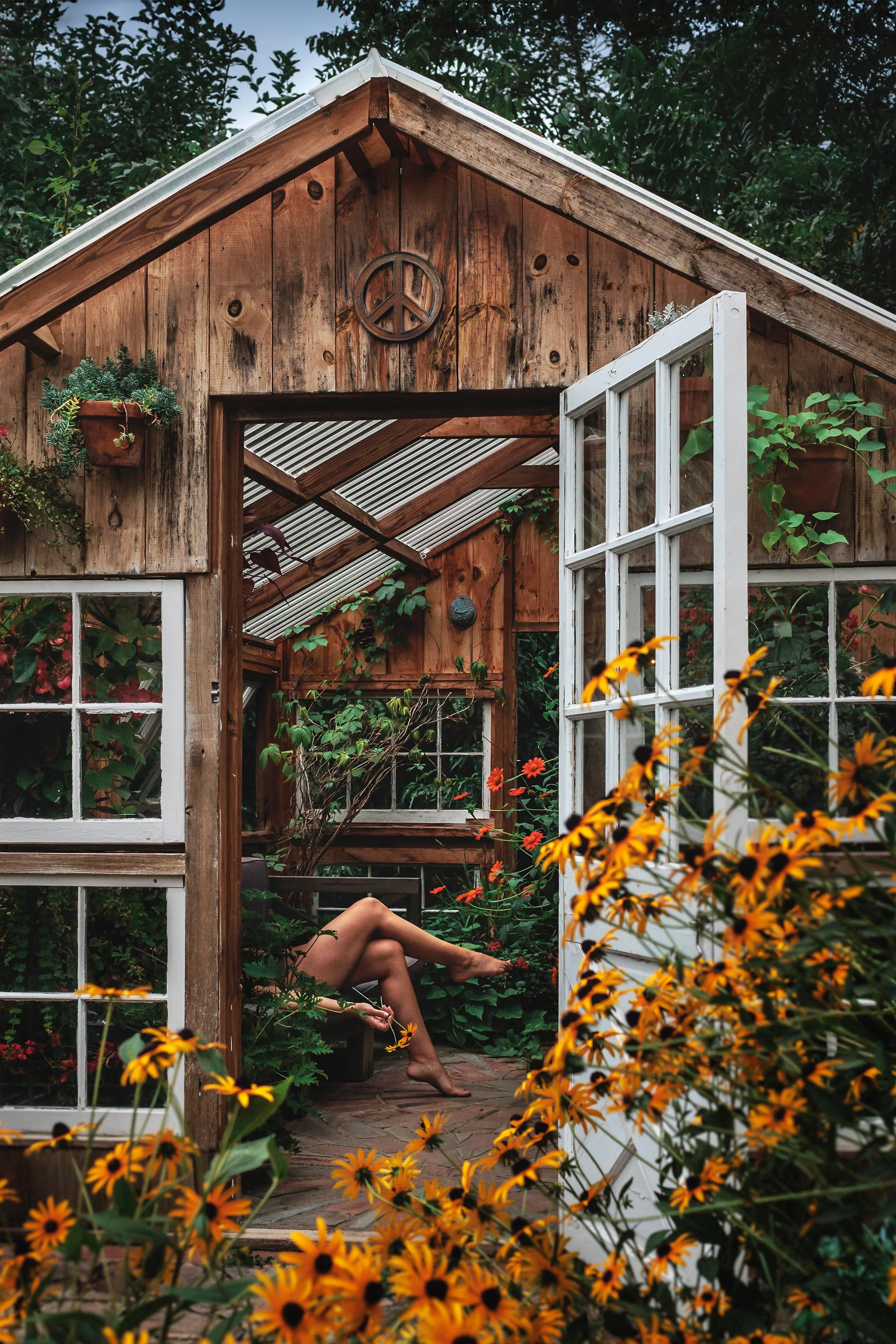 In The Greenhouse.jpg