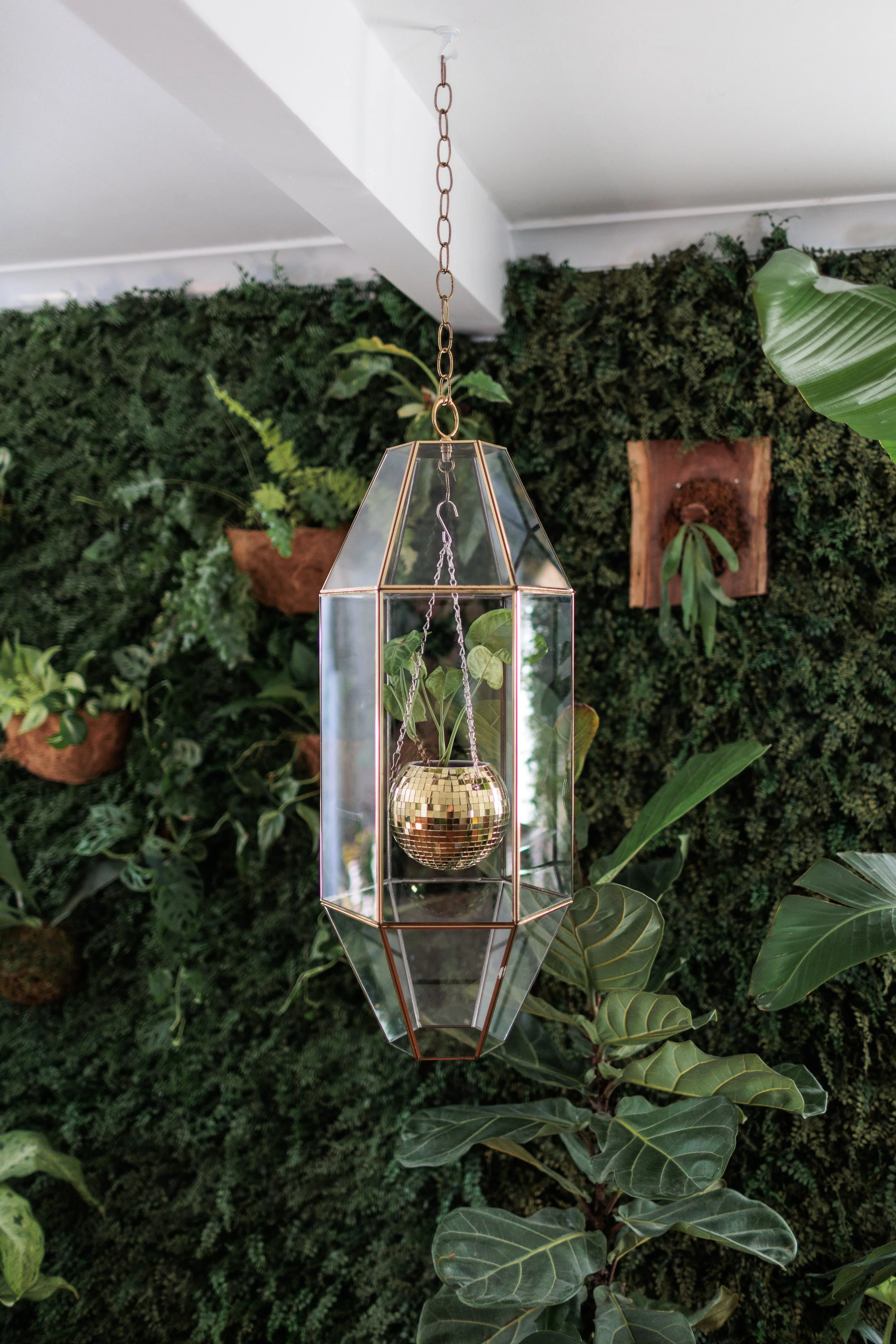 Upcycled Chandelier Hanging Terrarium