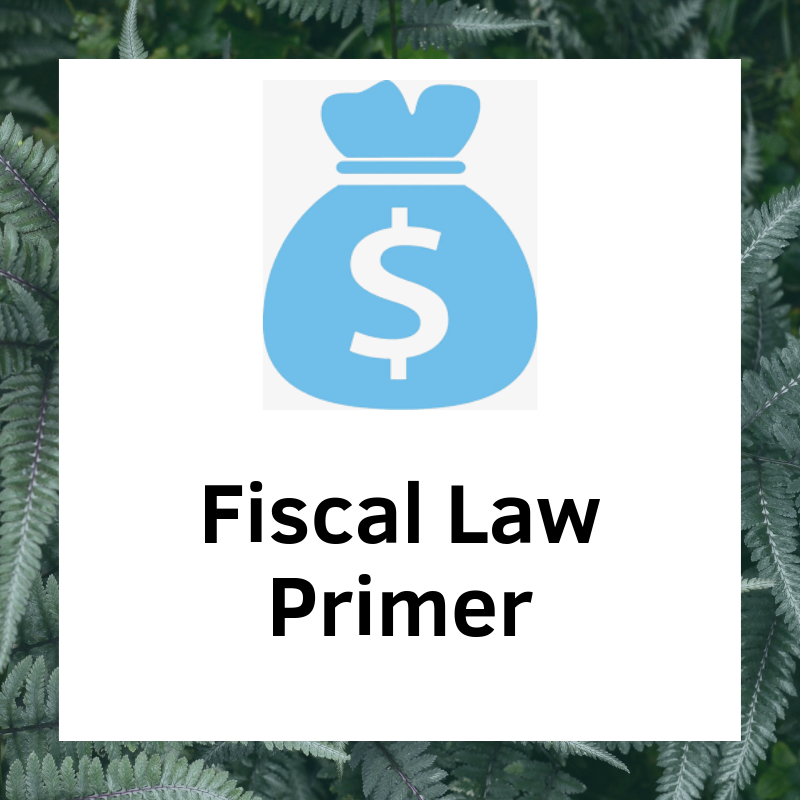 Fiscal Law Primer