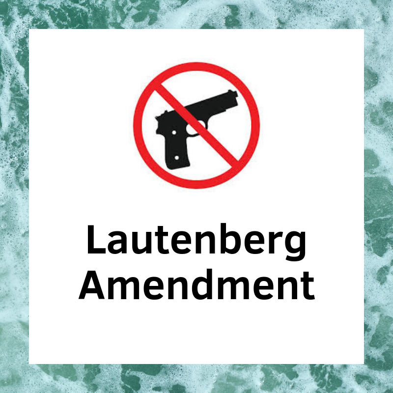 Lautenberg Amendment