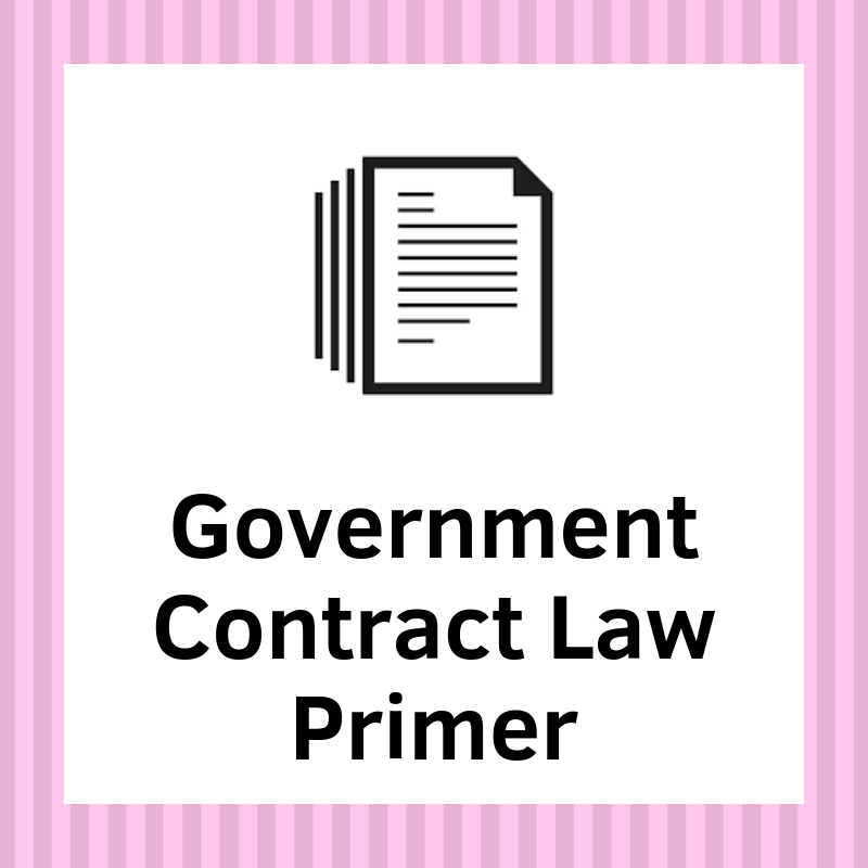 Government Contract Law Primer