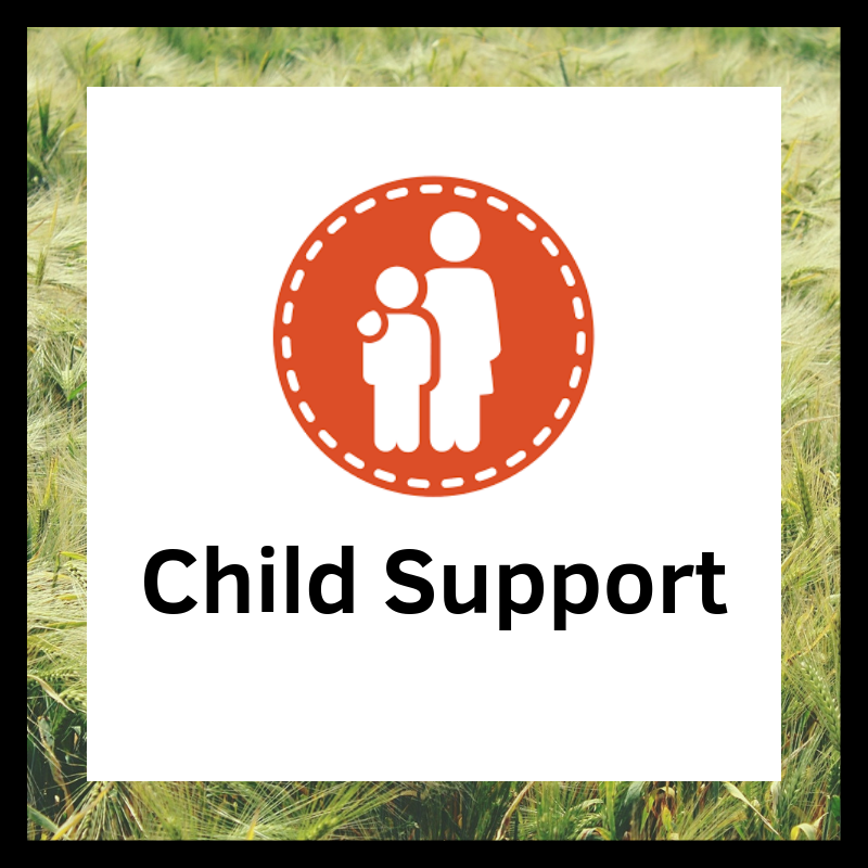 Child Support (1).png