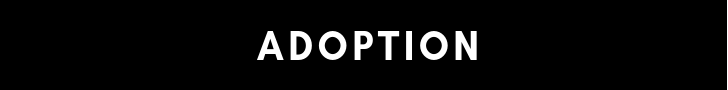 Adoption.png