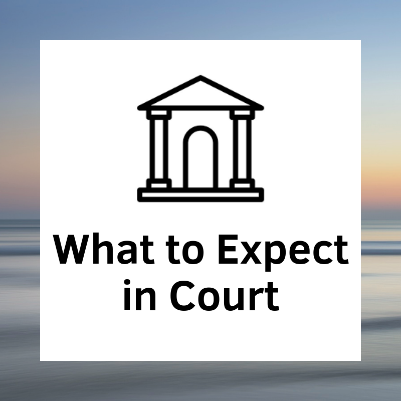 What to Expect in Court