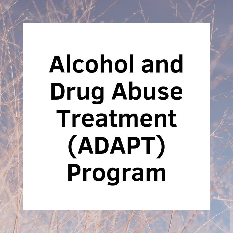 Alcohol and Drug Abuse Treatment (ADAPT) Program