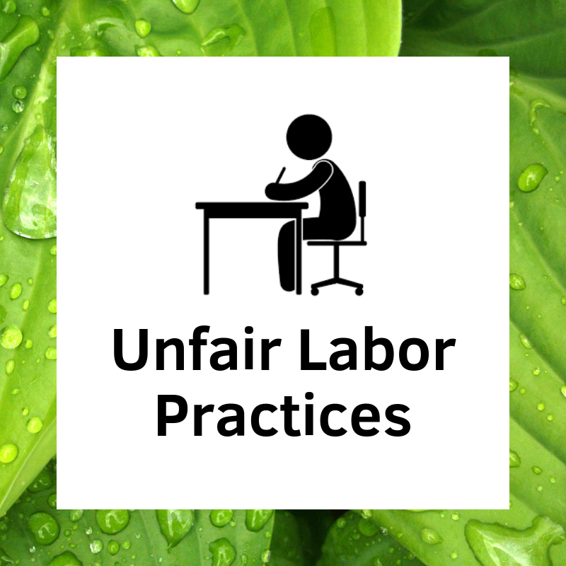 Unfair Labor Practices