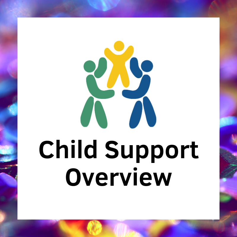 Child Support Overview
