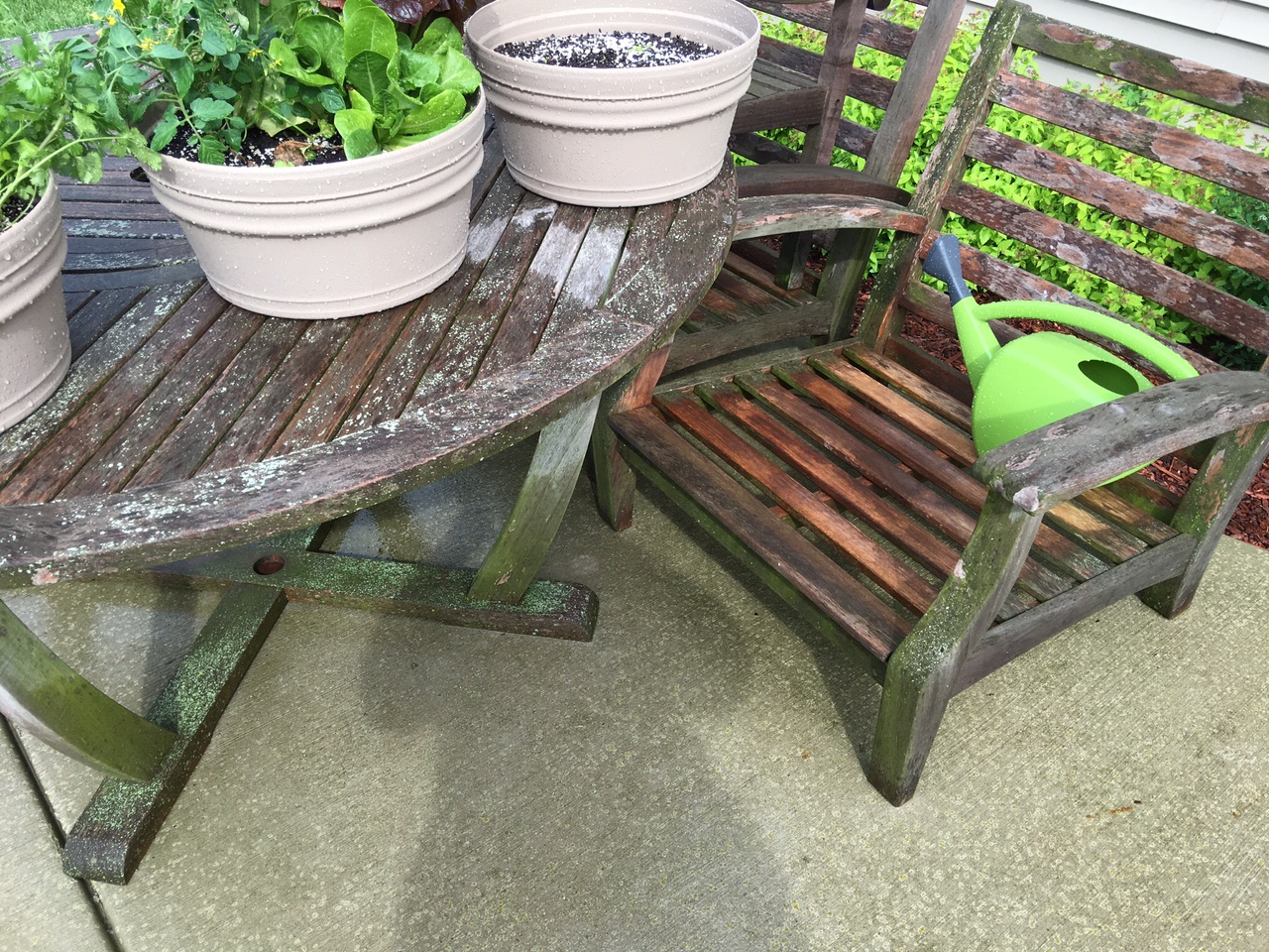 Completely covered in mildew and dirt.