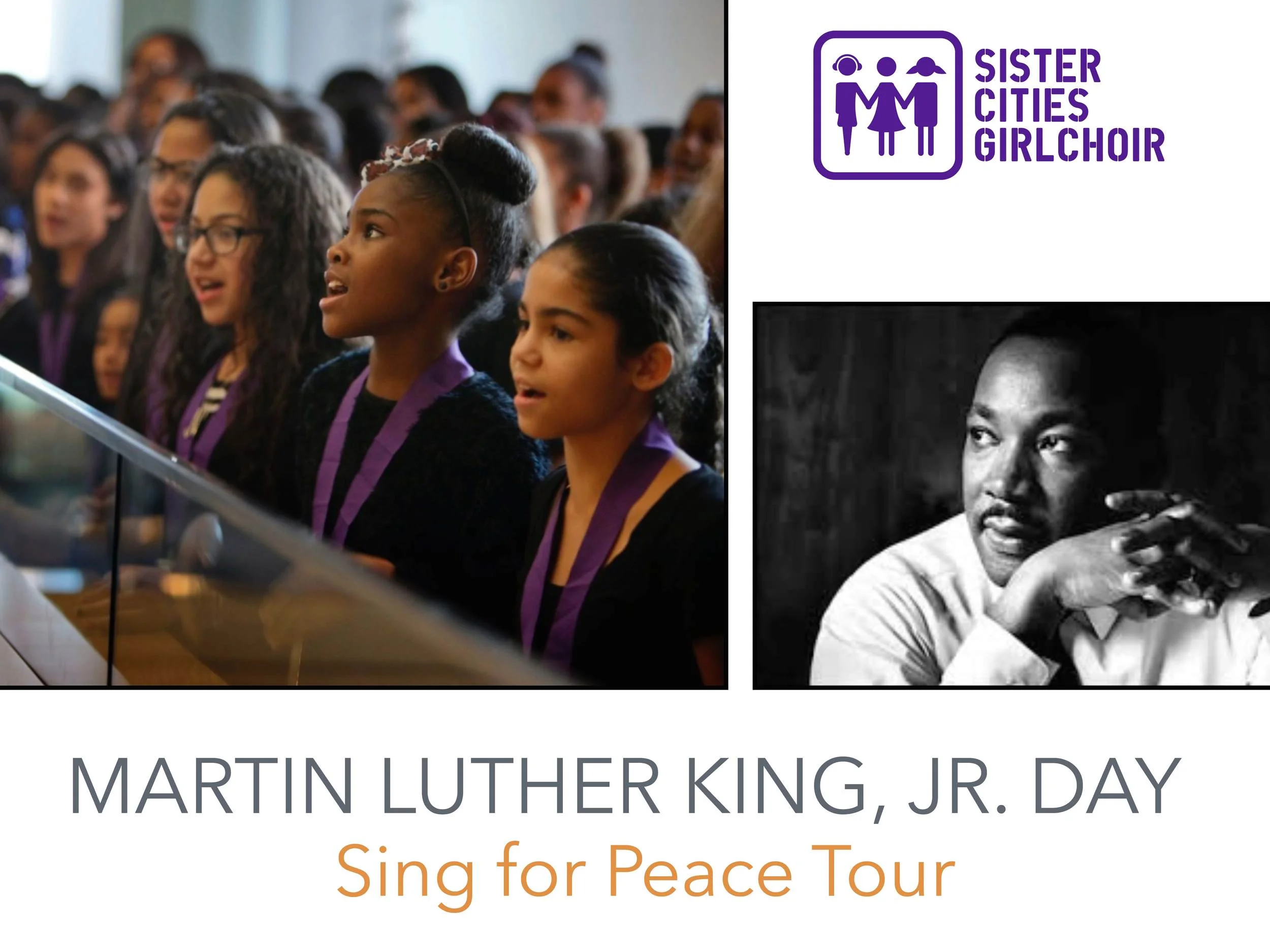MLK fundraising flyer.jpg